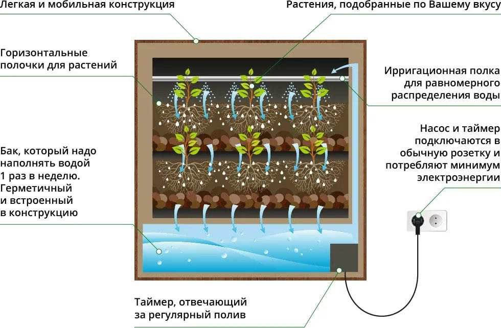 Схема работы фитокартины с автополивом для живых растений