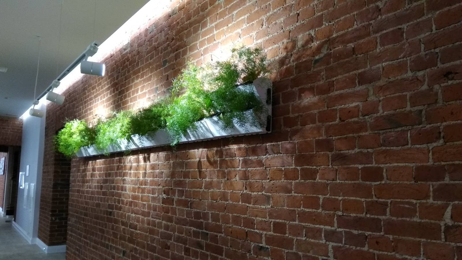 Фитокартины с автополивом для живых растений