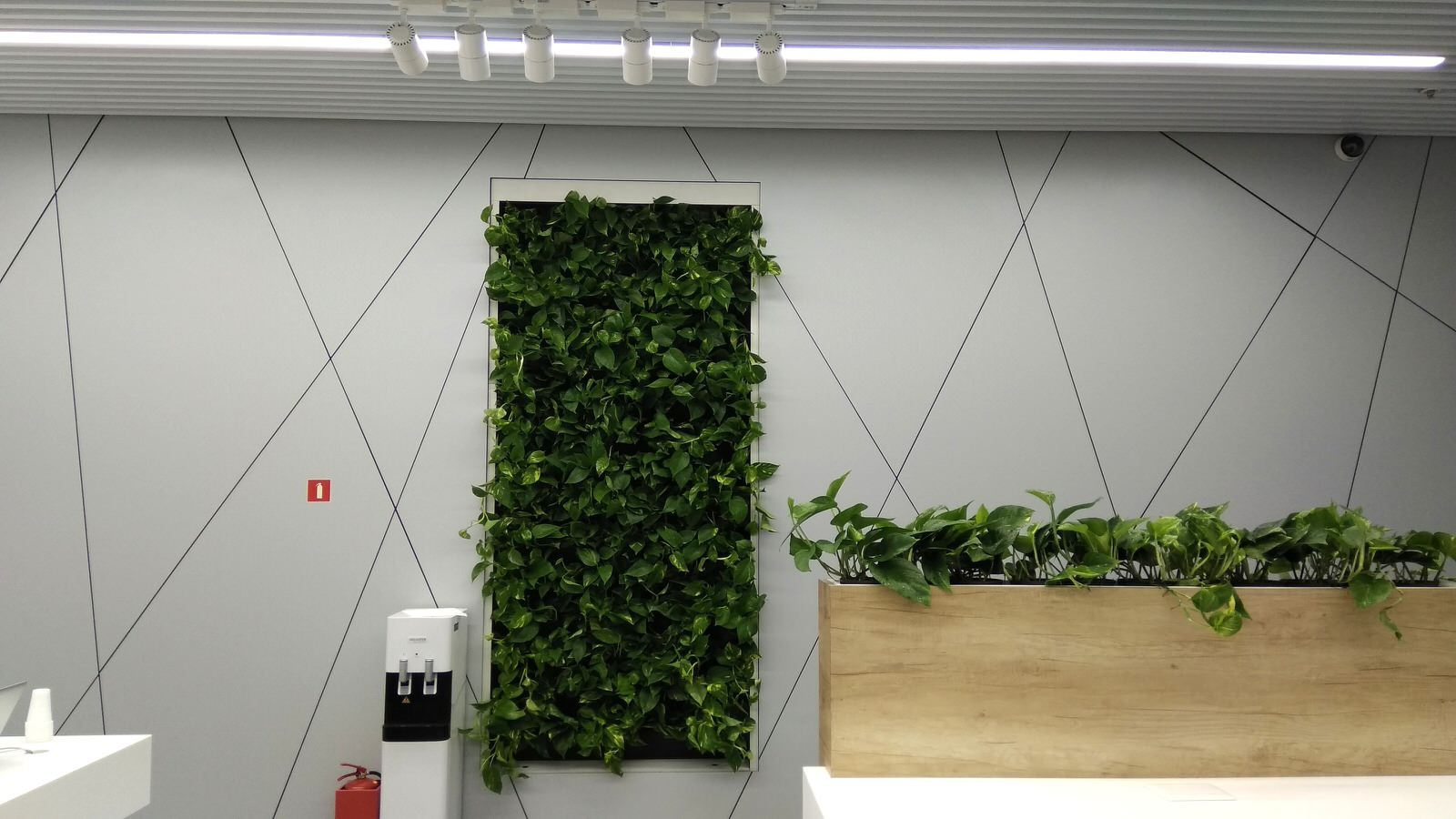 Вертикальное озеленение: рестораны и общественные места