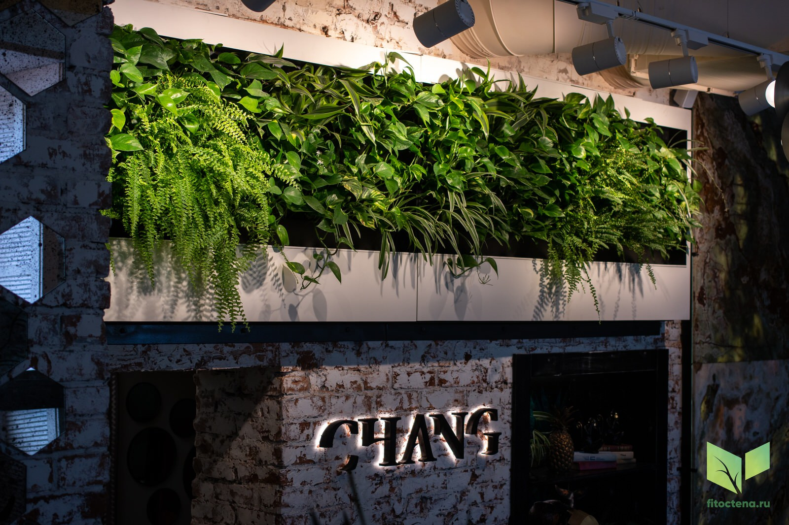 Вертикальное озеленение в ресторане CHANG