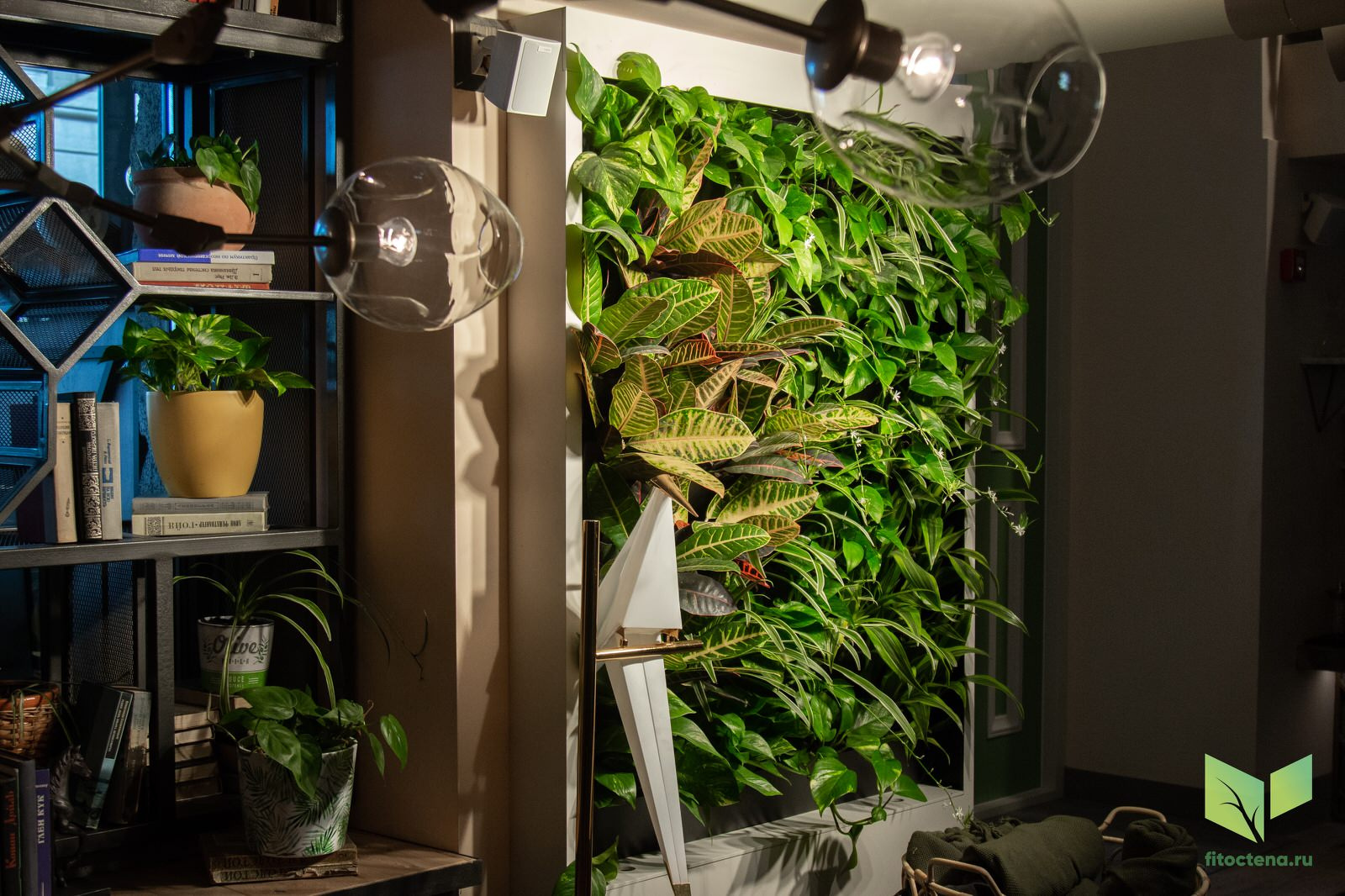 Вертикальное озеленение в ресторане CHANG