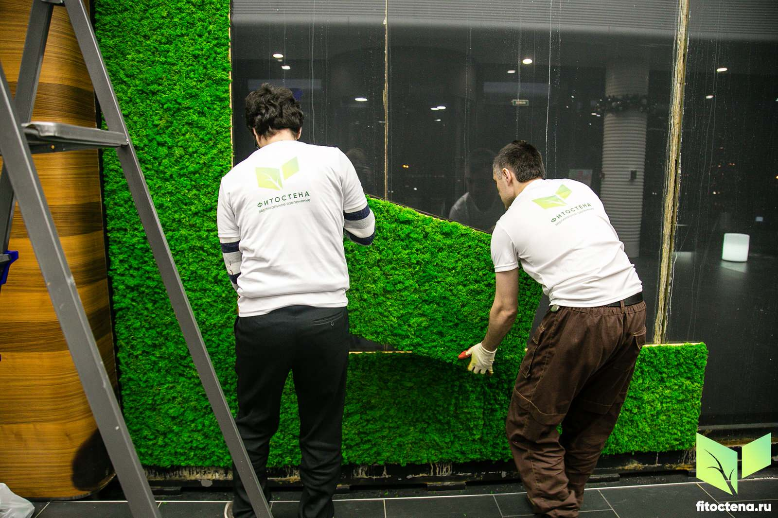 Установка стены из мха ягель для компании Газпром
