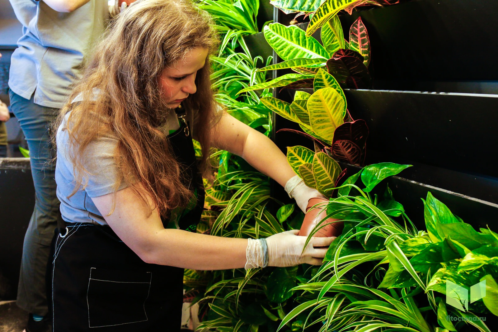 Процесс работы компании