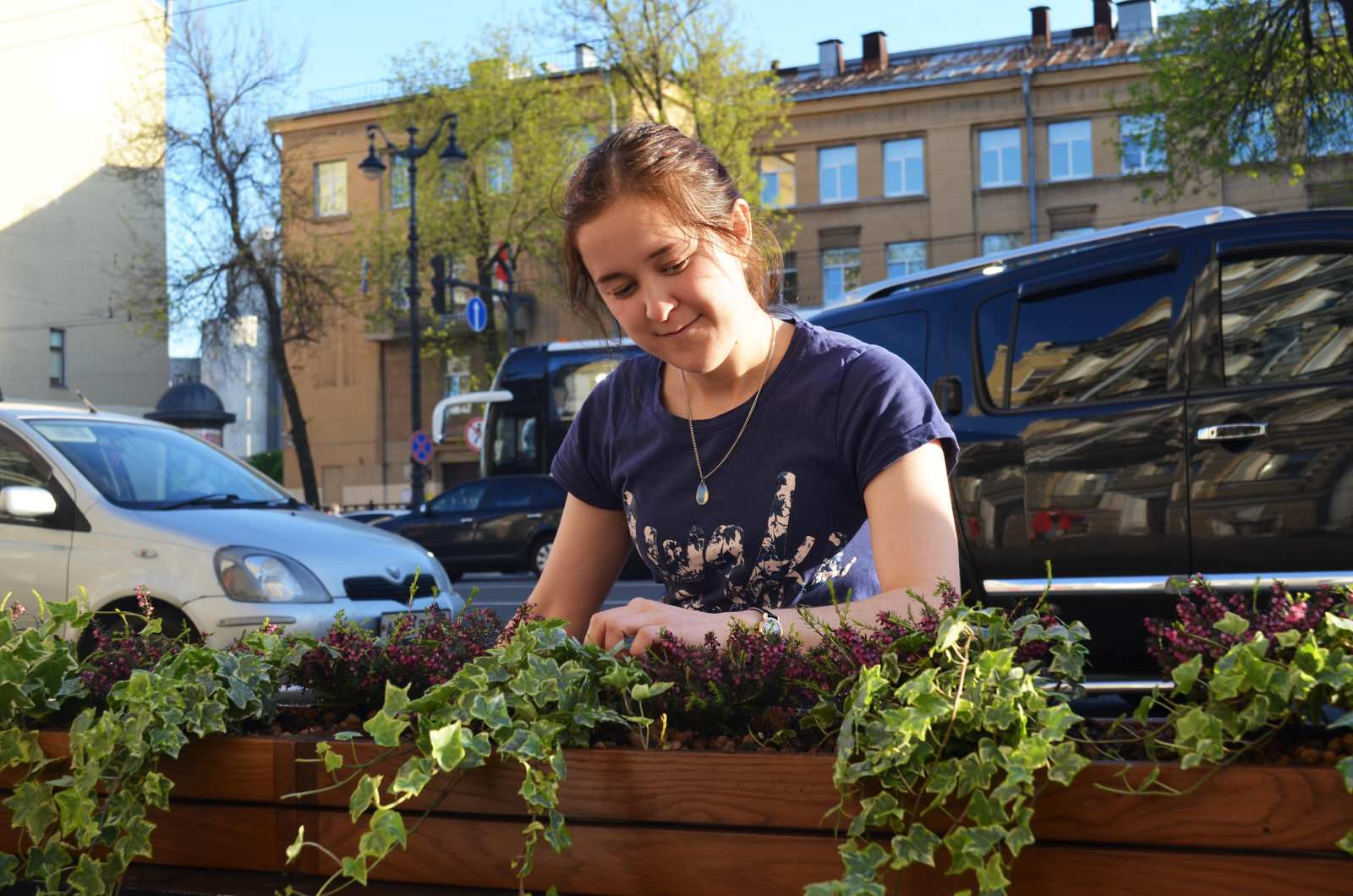 Озеленение входных групп
