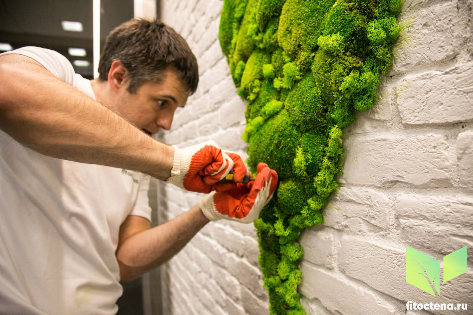 Основатель компании Сердитов Владислав