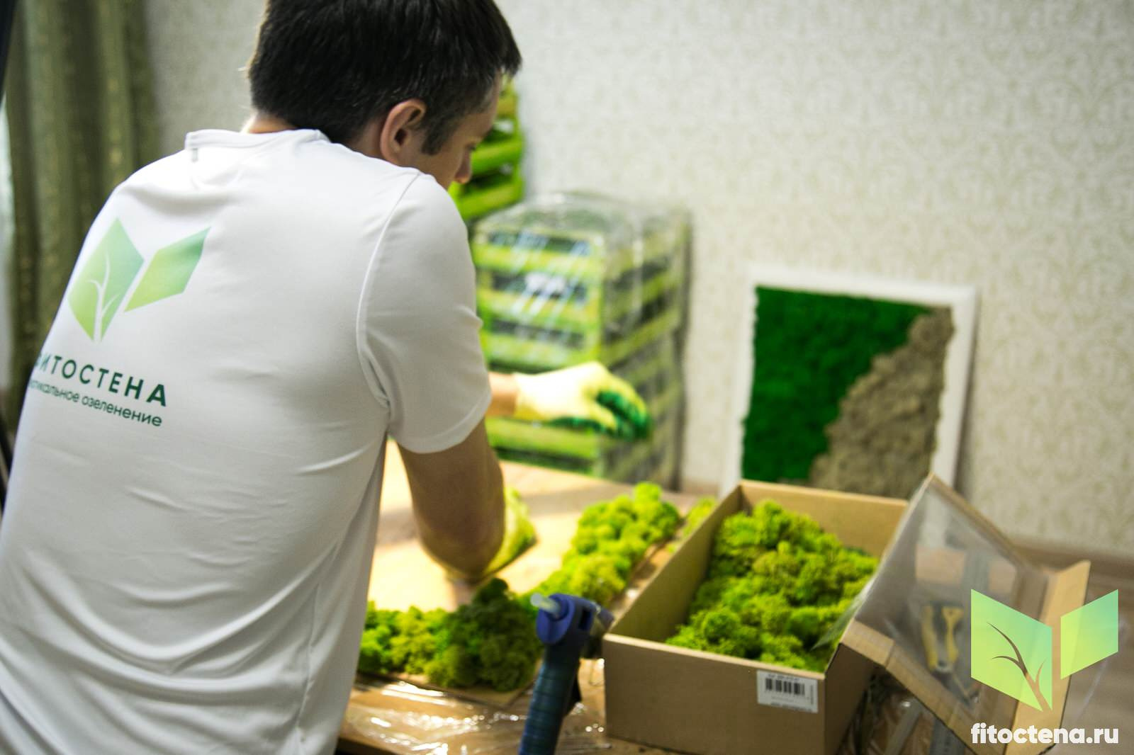 Подбор и работа со стабилизированным мхом