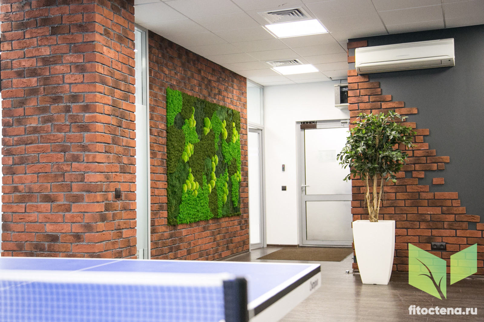 Стабилизированный мох в лофте