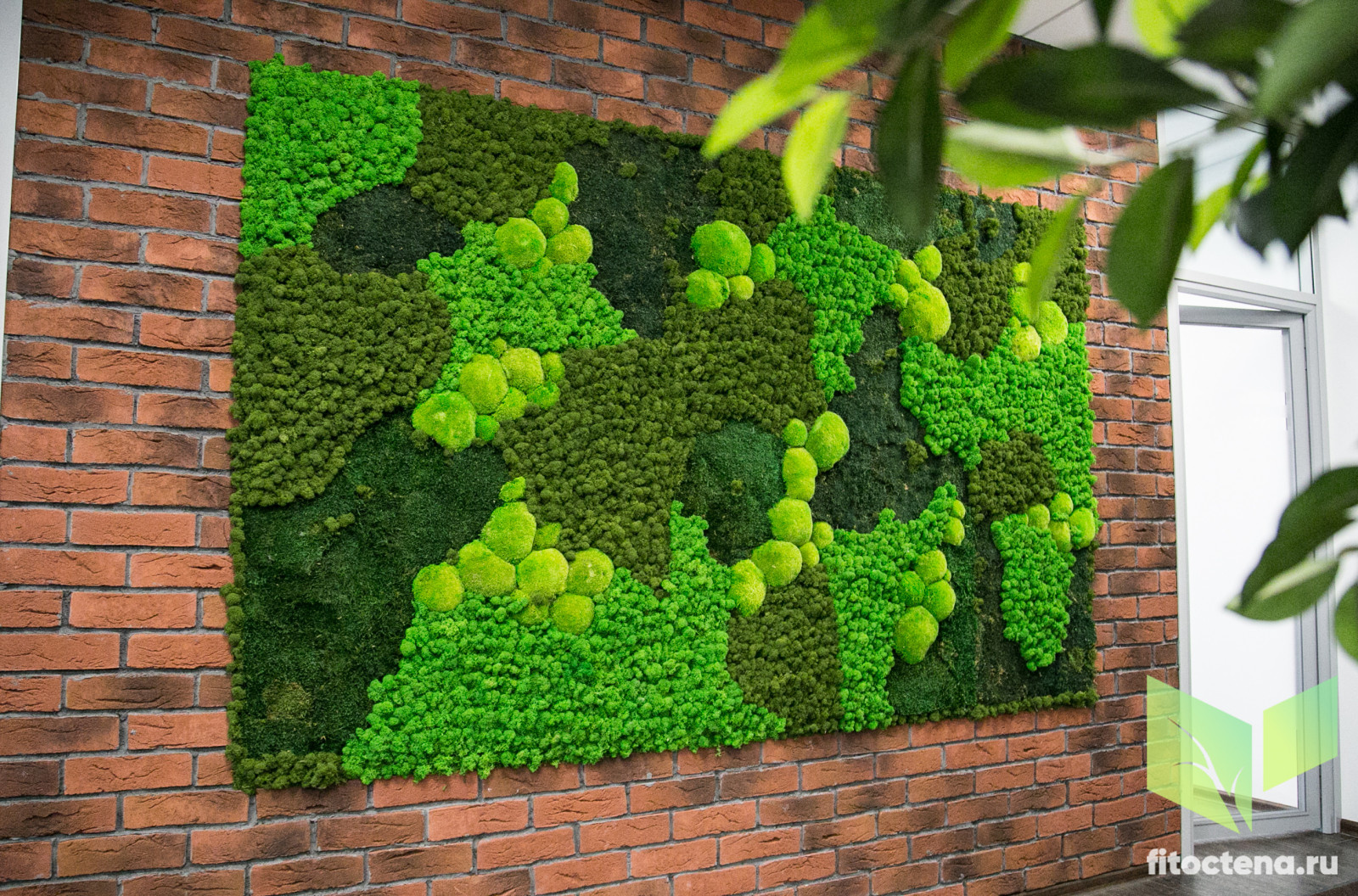 Стабилизированный мох в лофте