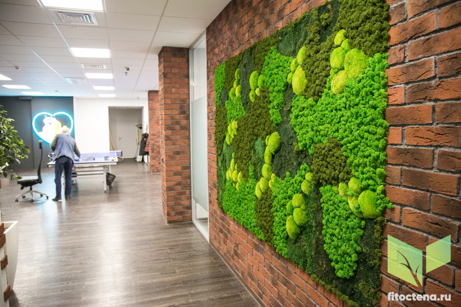 Стабилизированный мох в лофте