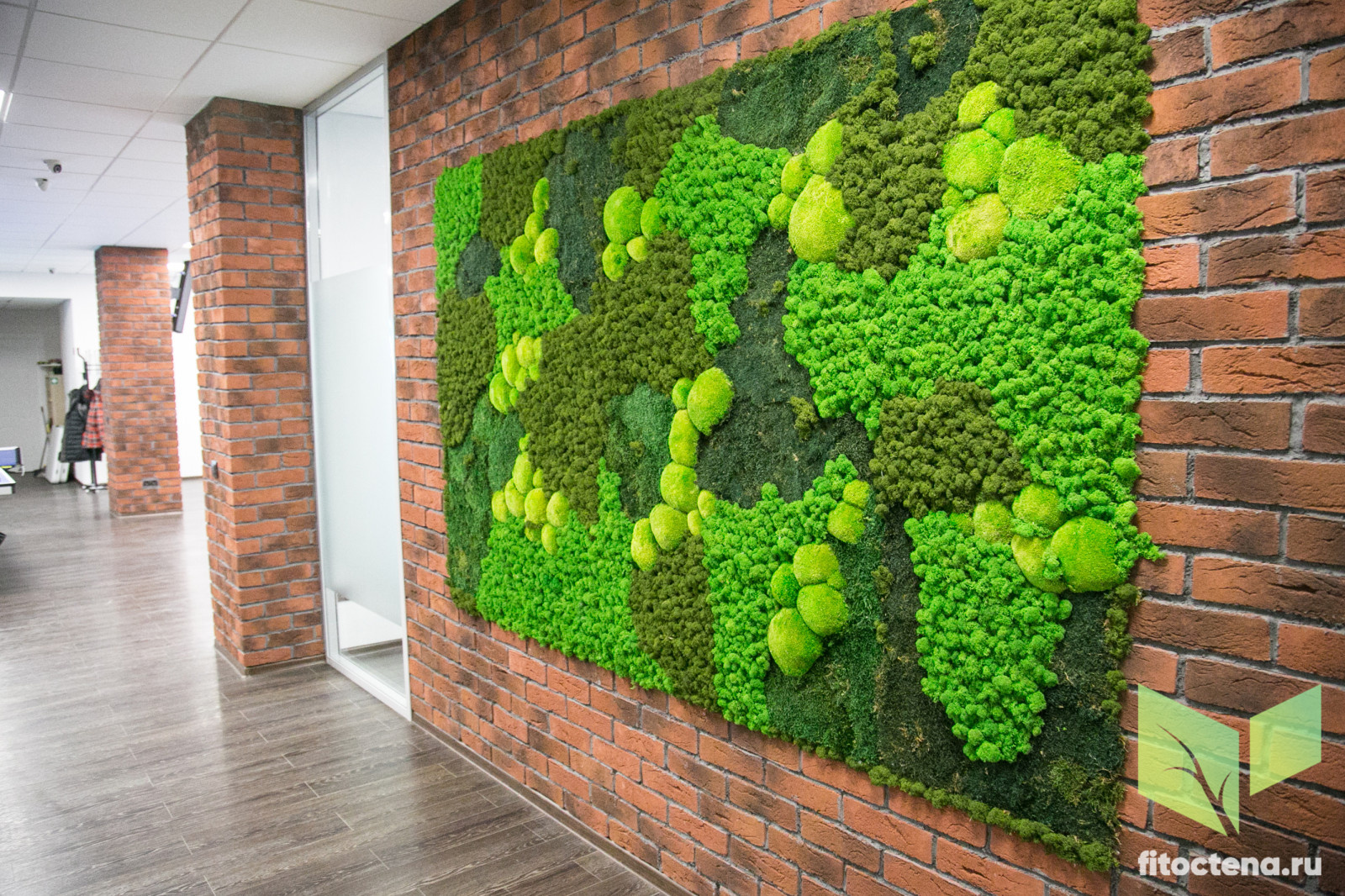 Стабилизированный мох в лофте