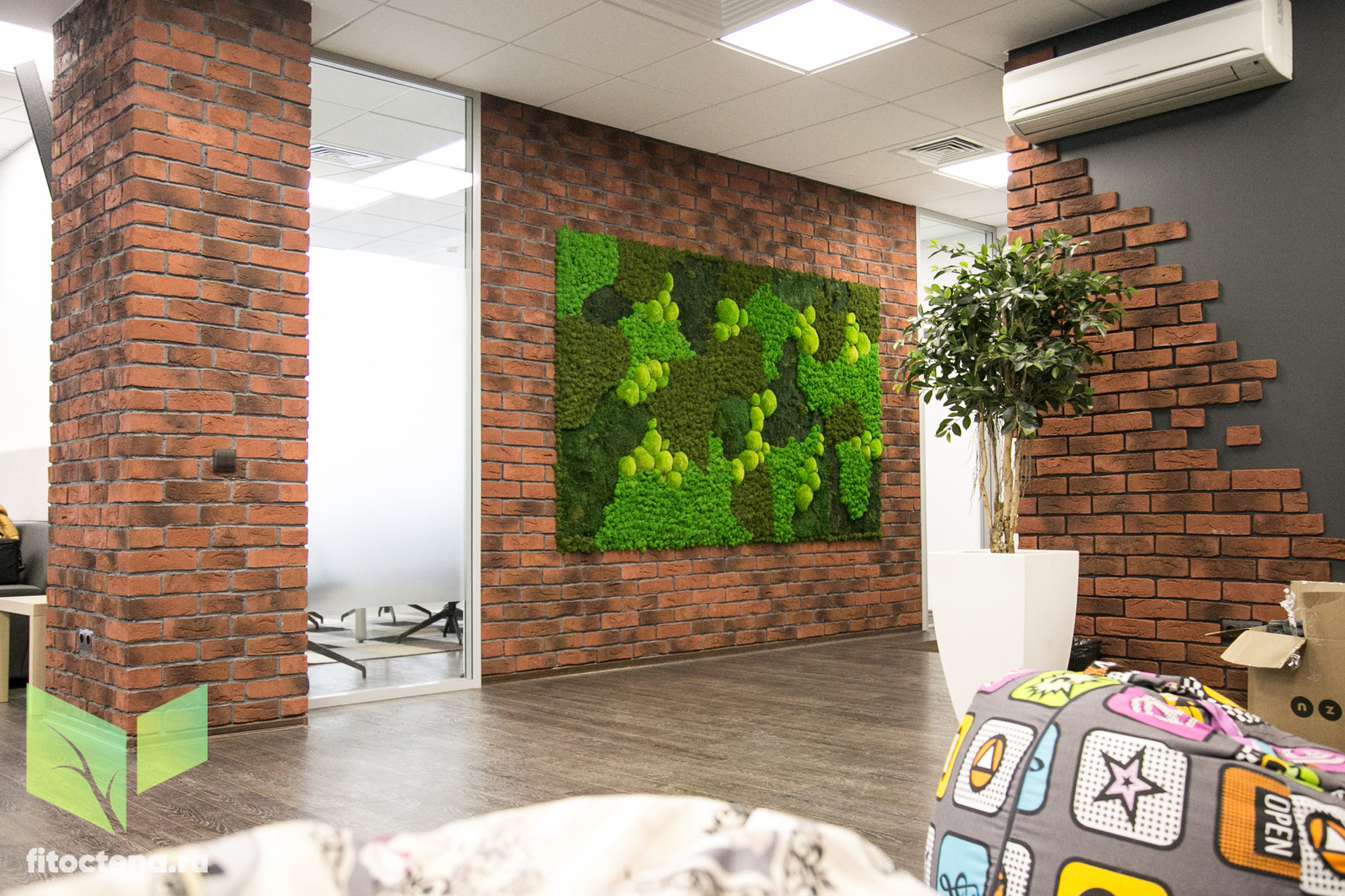 Стабилизированный мох в лофте