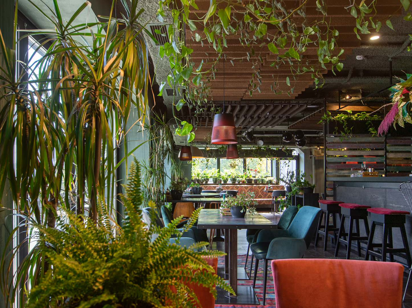 Кафе Луна и Черепаха