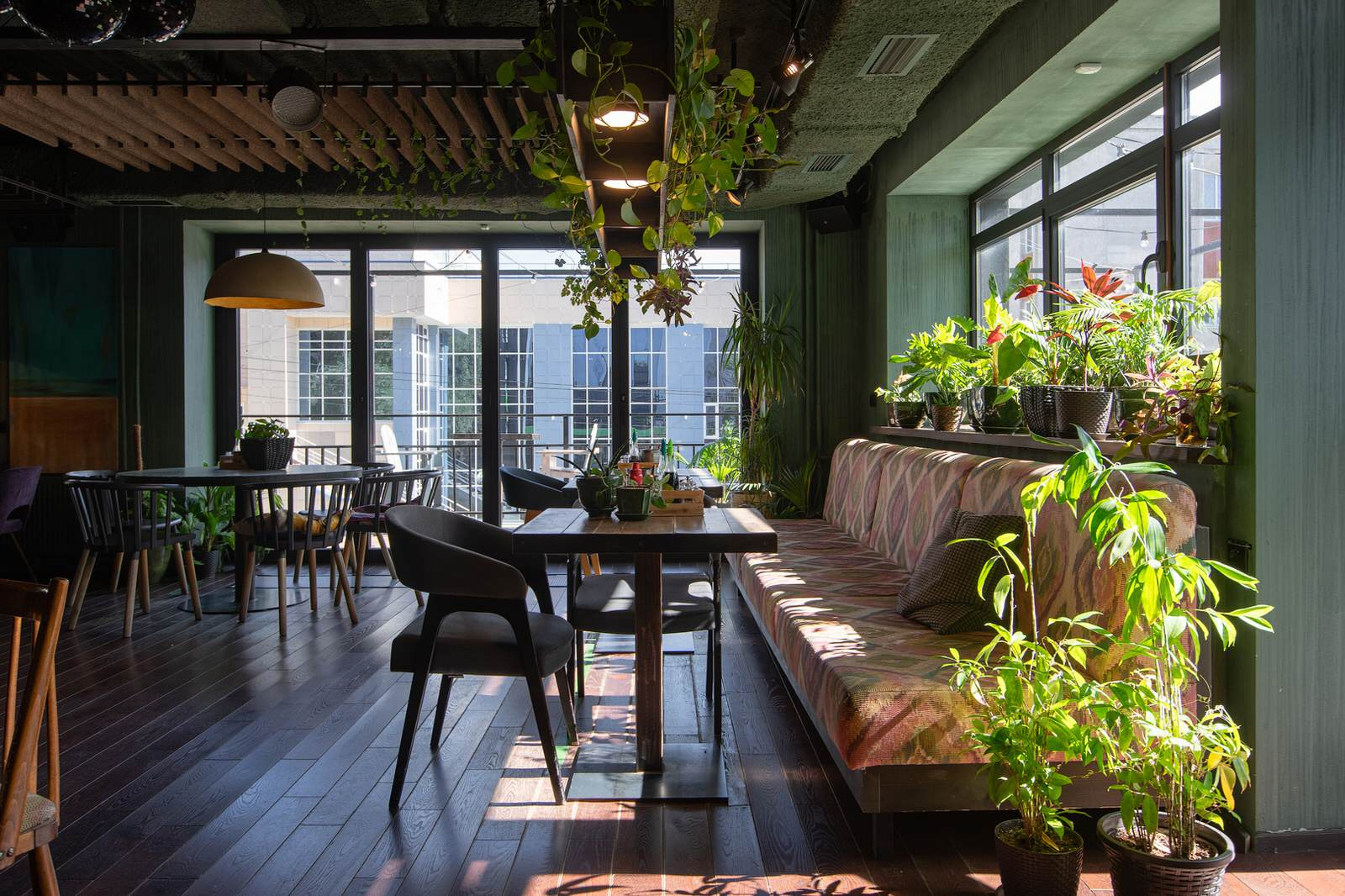 Кафе Луна и Черепаха