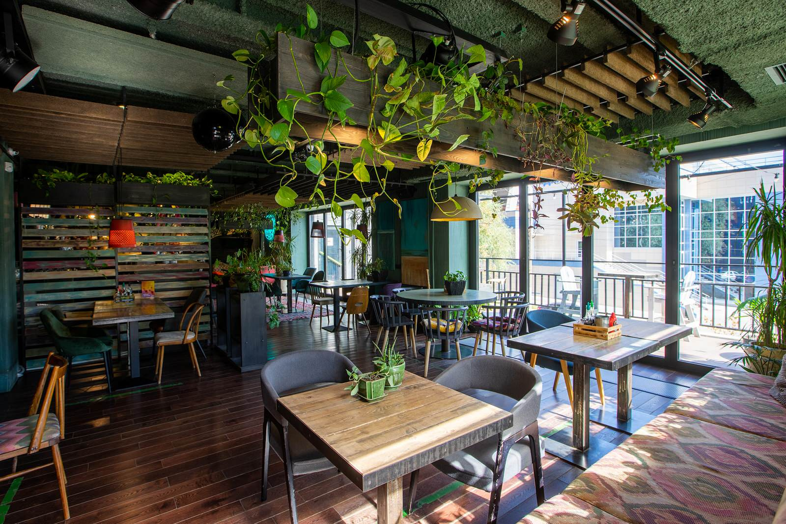 Обложка проекта: Кафе Луна и Черепаха