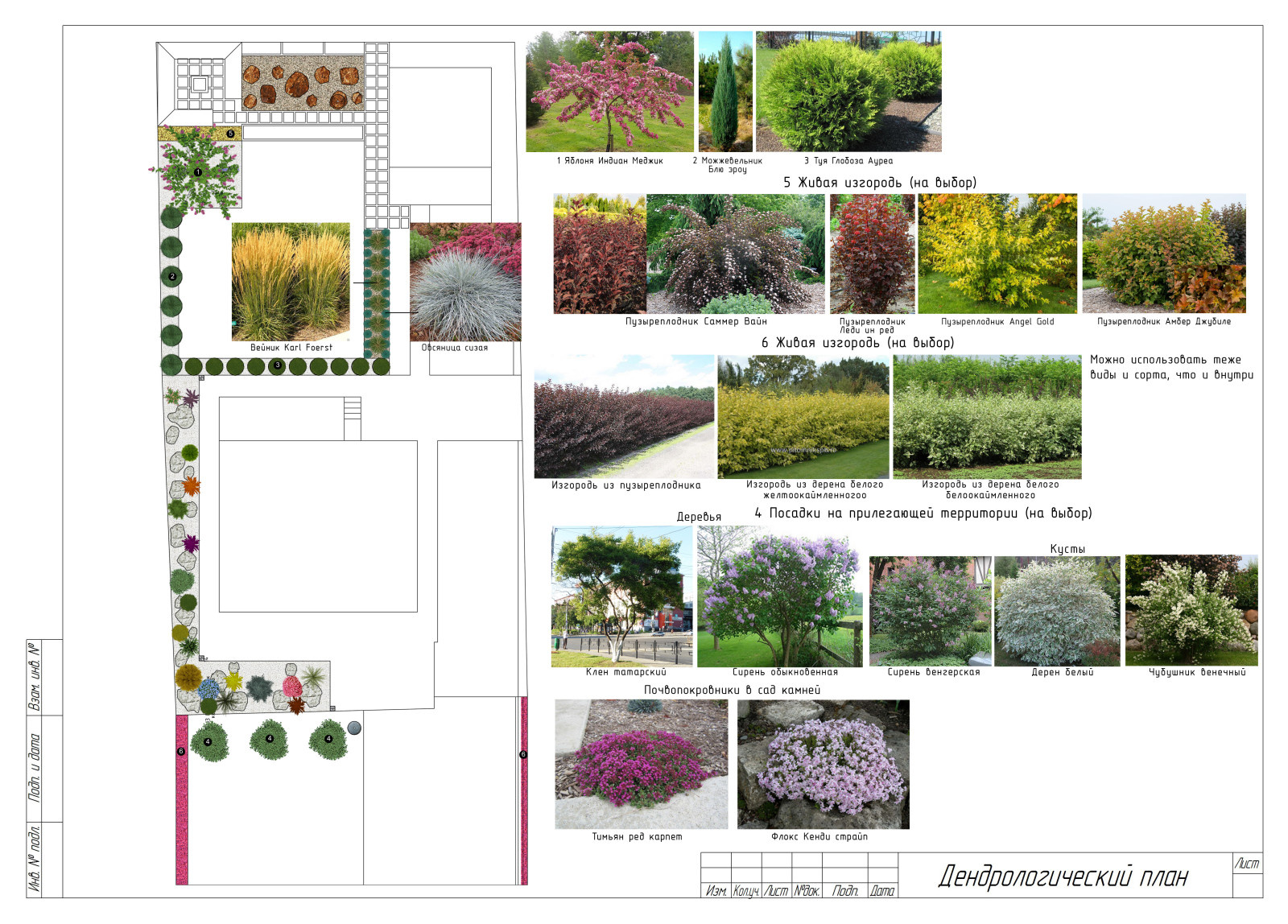 Ландшафтный проект "Стильный сад"