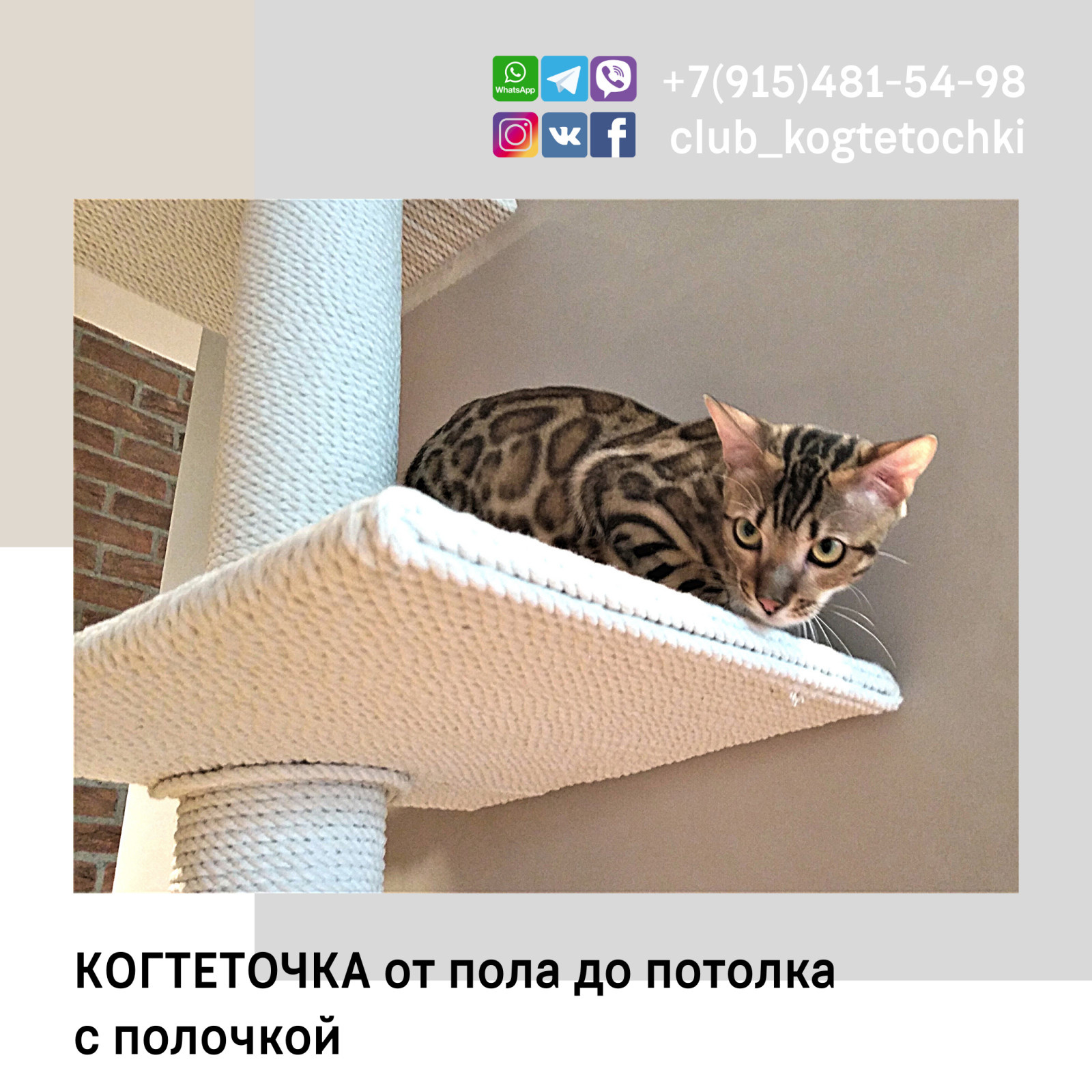 Когтеточка от пола до потолка