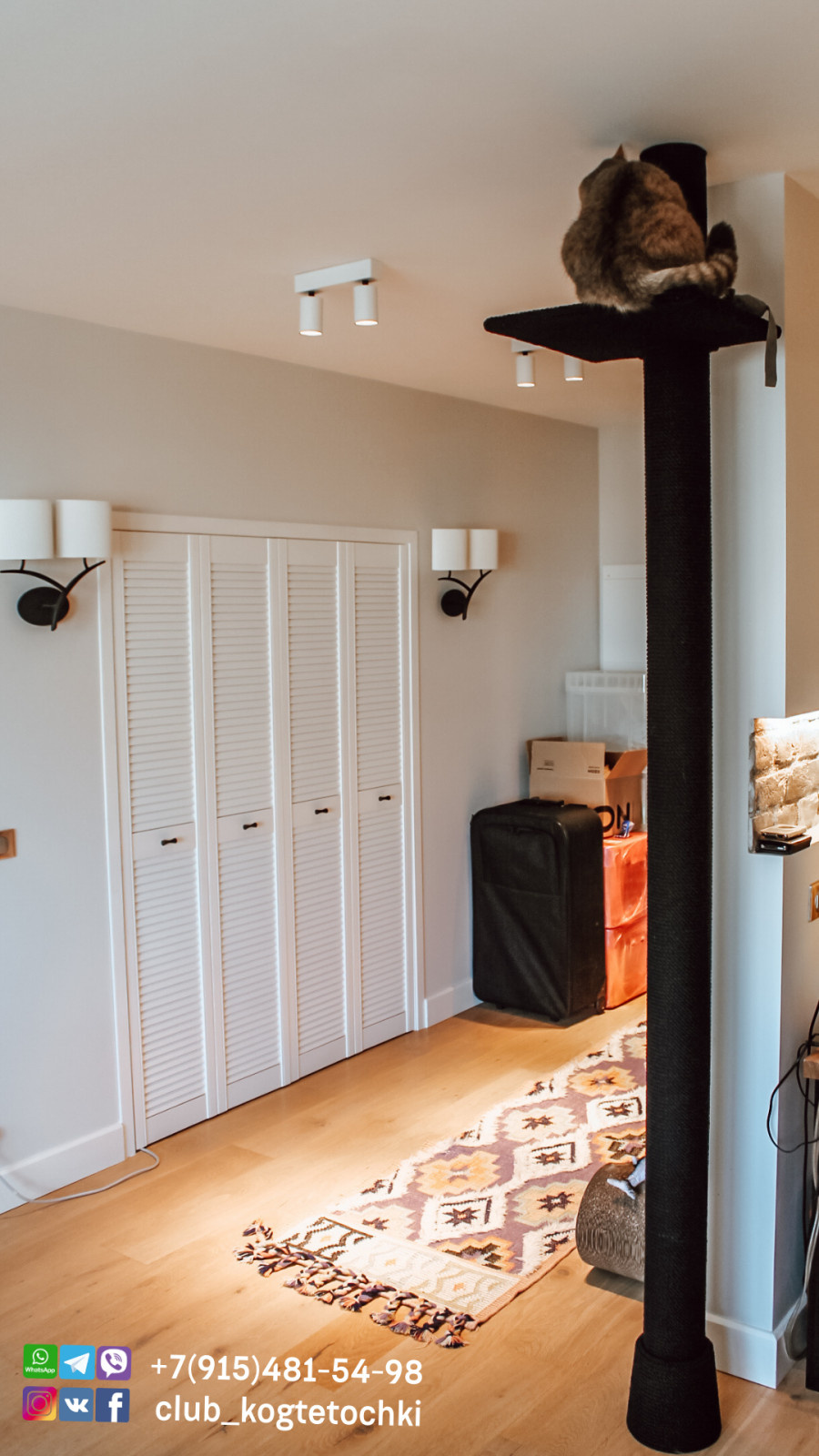 Когтеточка от пола до потолка