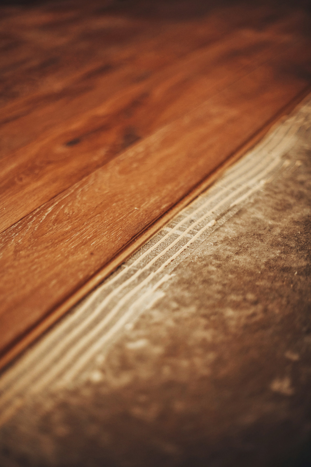 ЖК Летний Сад