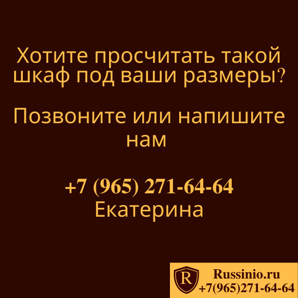 Обложка проекта: Встроенный шкаф