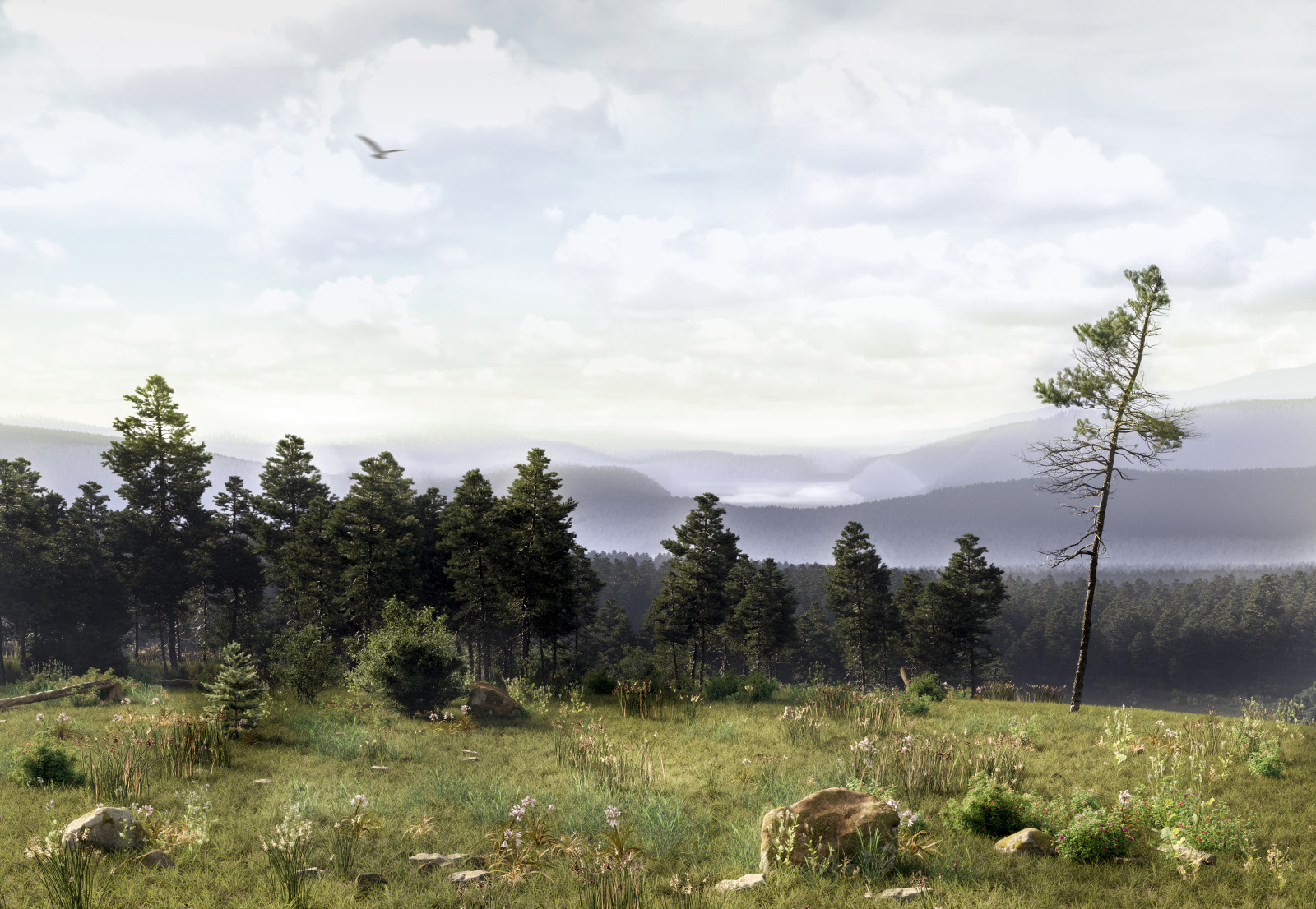 Interpretation of I.I. Shishkin's