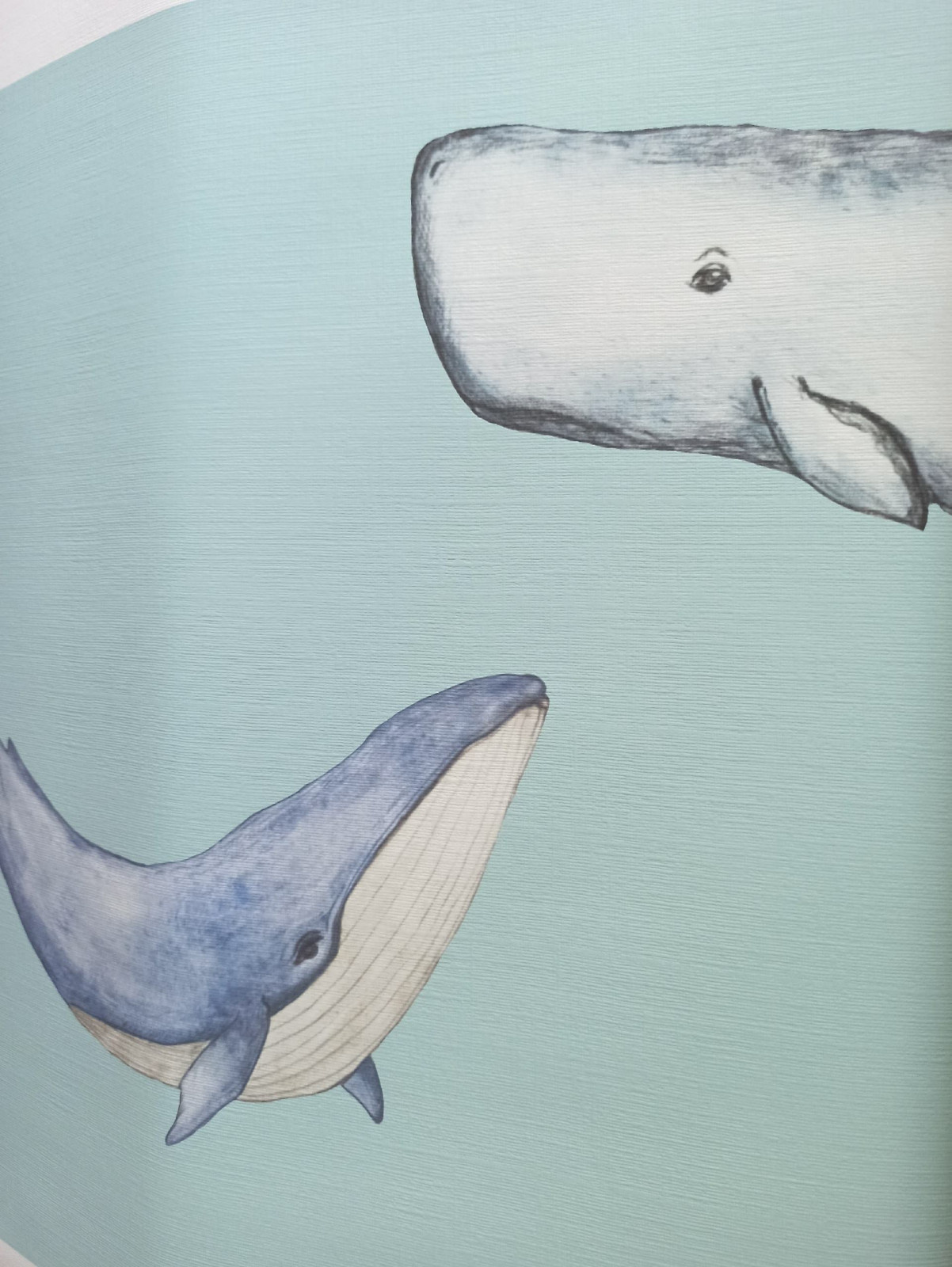 Киты. ЖК Михайловский