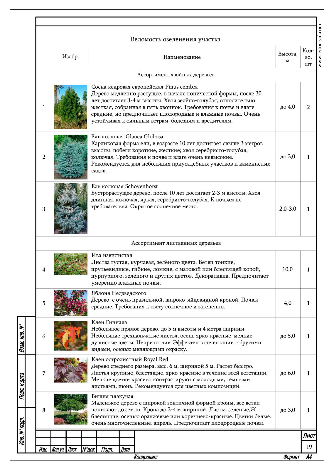 Ландшафтный проект благоустройства участка п. Куликово, Калининградская область