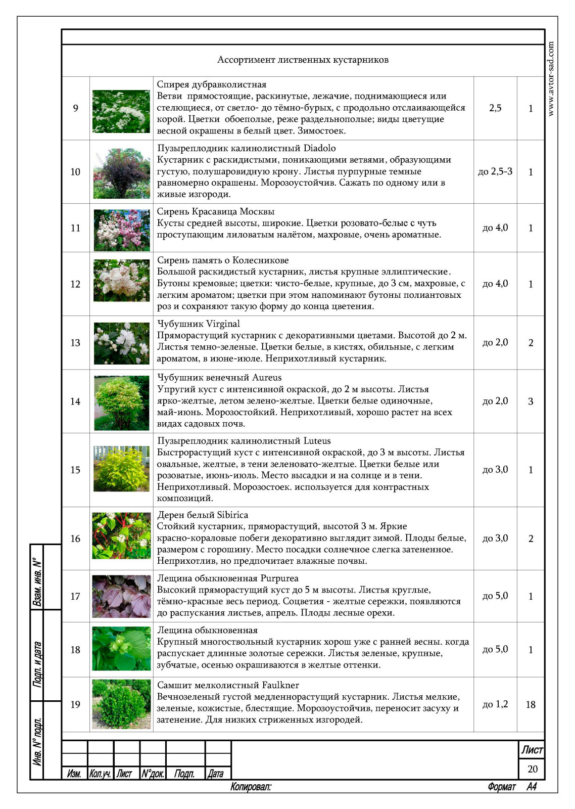 Ландшафтный проект благоустройства участка п. Куликово, Калининградская область