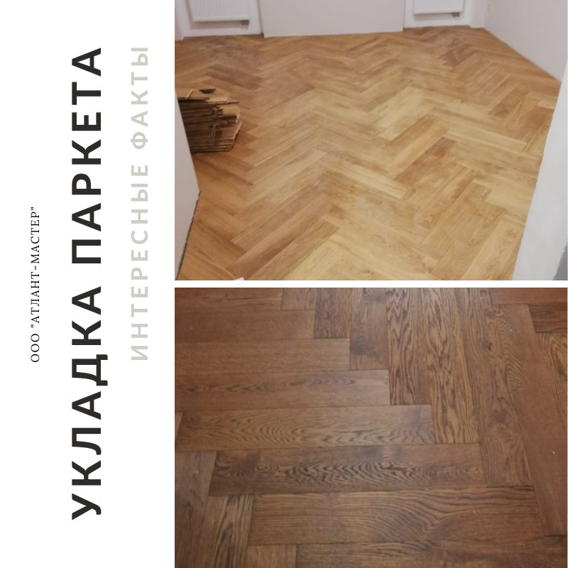 Укладка паркета 2