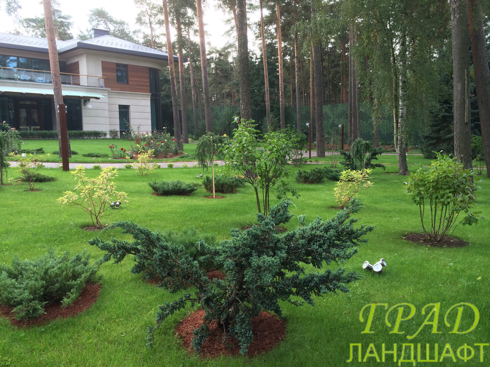 Проект в Сестрорецке