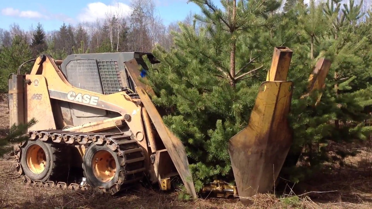 Пересадка крупномерных деревьев в Спб и Ленинградской области