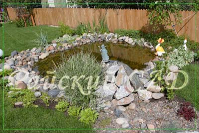 Дизайн сада