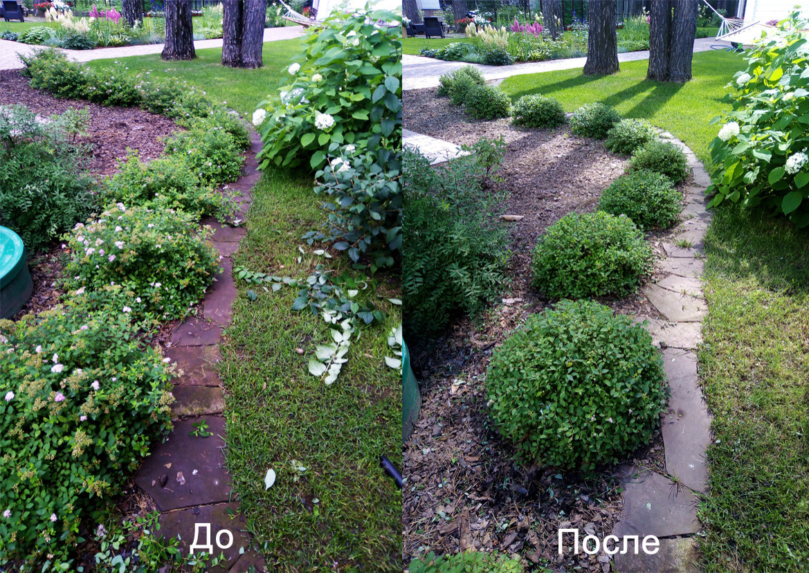 Обрезка и стрижка деревьев и кустарников