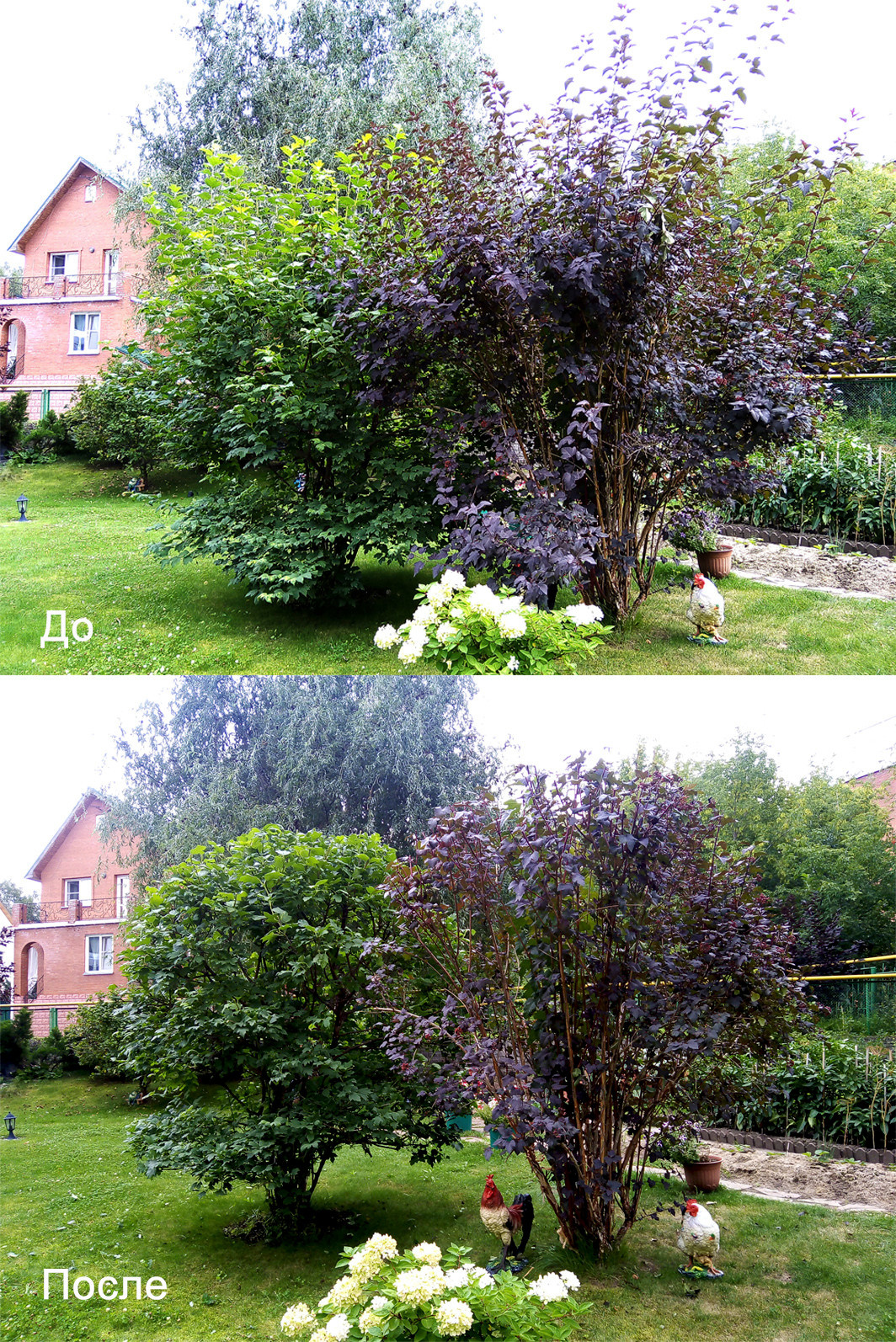 Обрезка и стрижка деревьев и кустарников