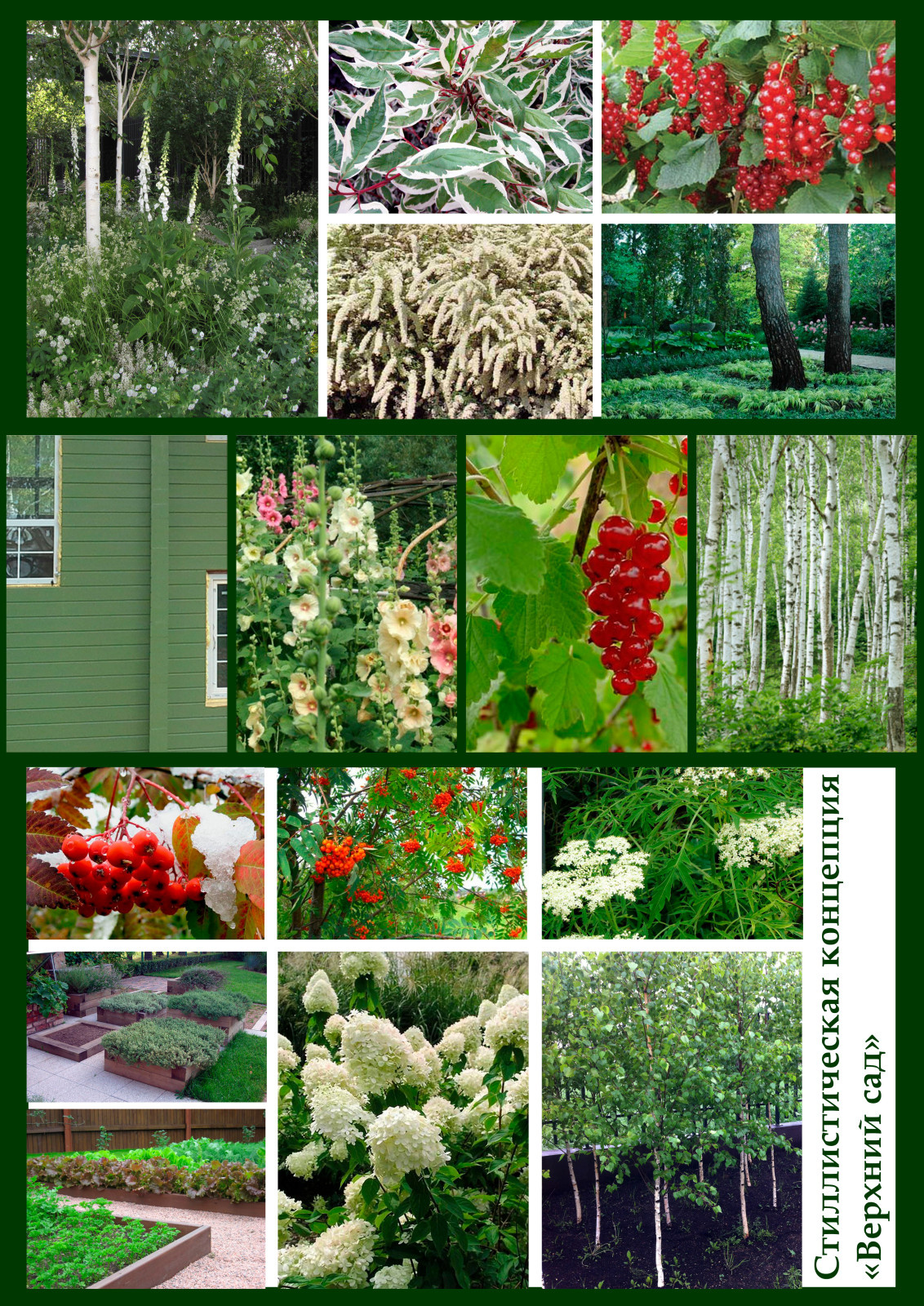 Проект "Волны". Дом у воды