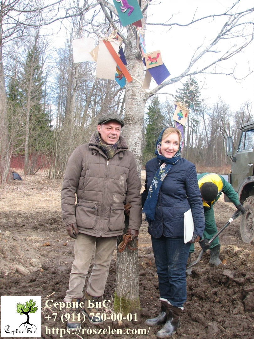 Торжественная церемония посадки молодого дуба на том месте, где раньше рос леген