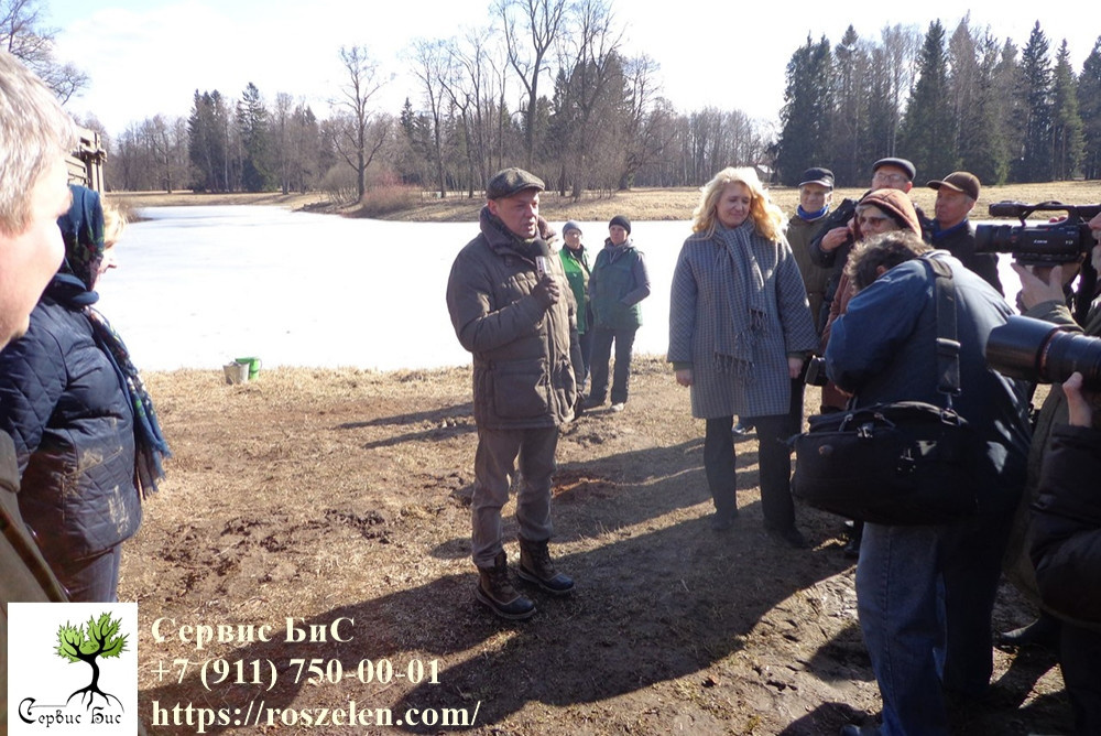 Торжественная церемония посадки молодого дуба на том месте, где раньше рос леген