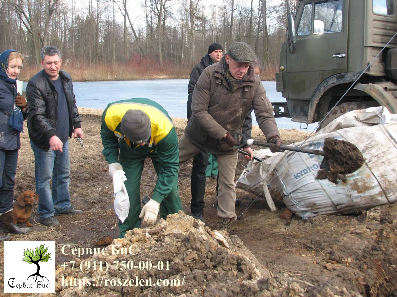 Торжественная церемония посадки молодого дуба на том месте, где раньше рос леген