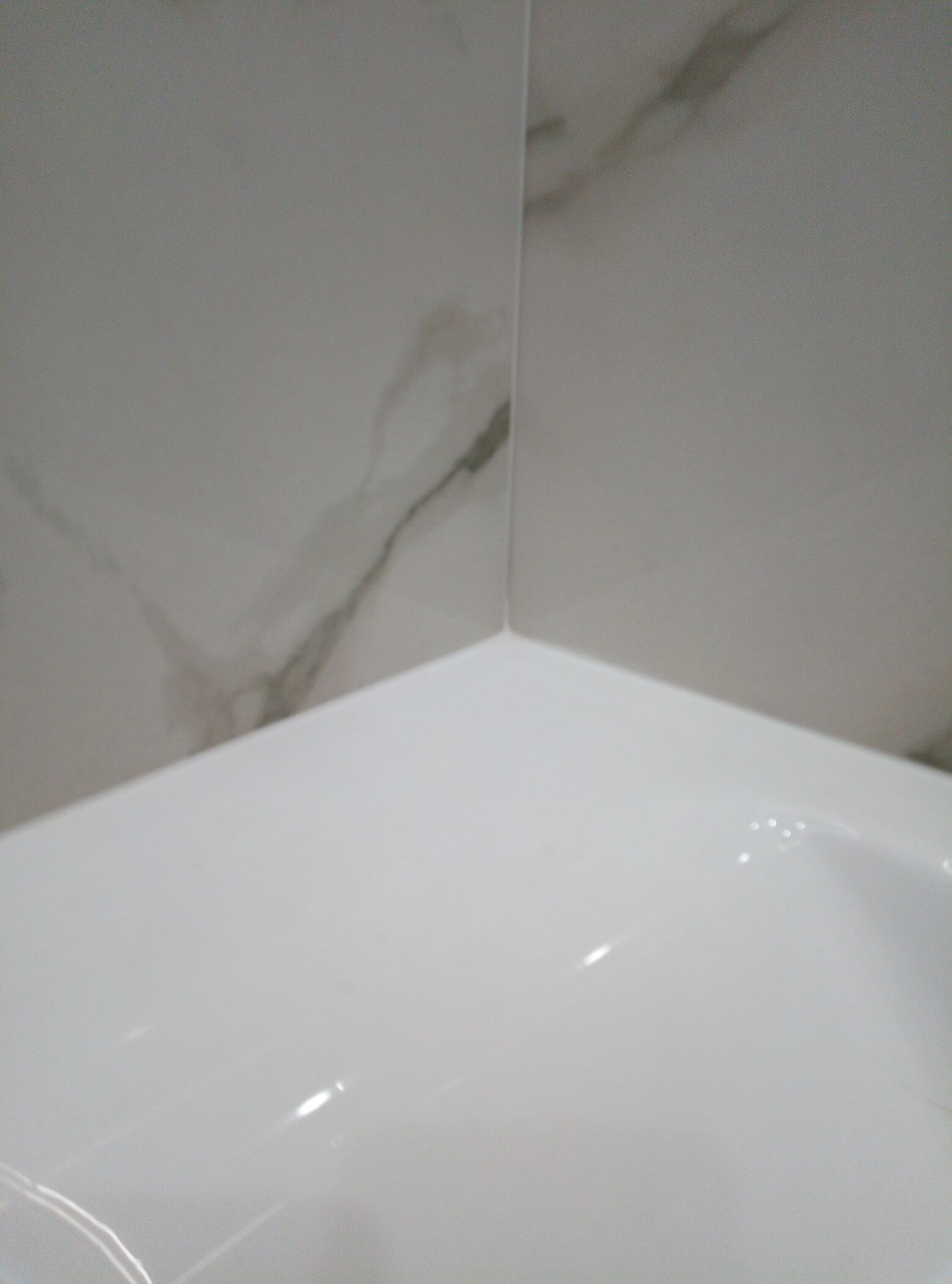 Долгопрудный