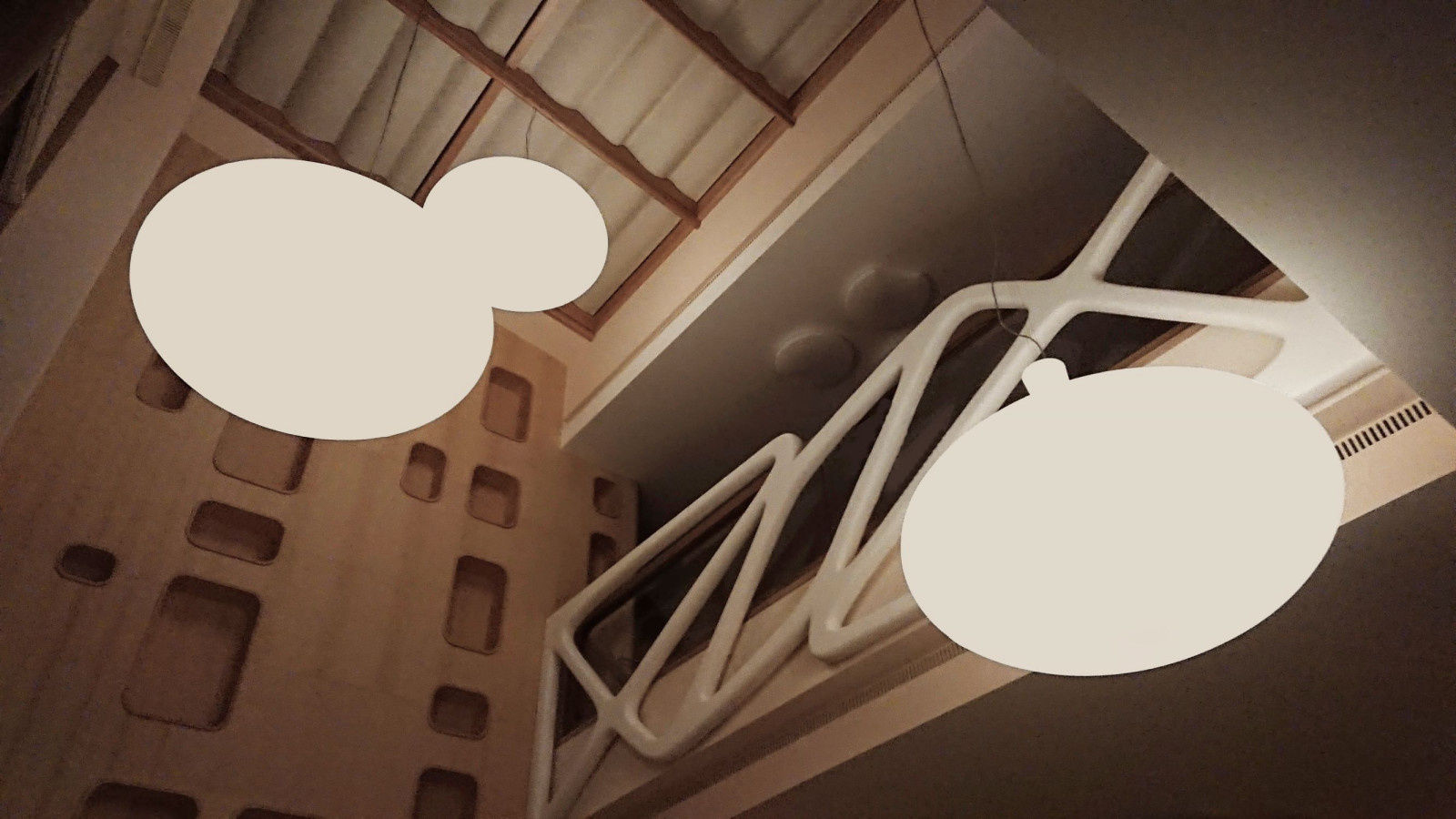 House in a pine forest