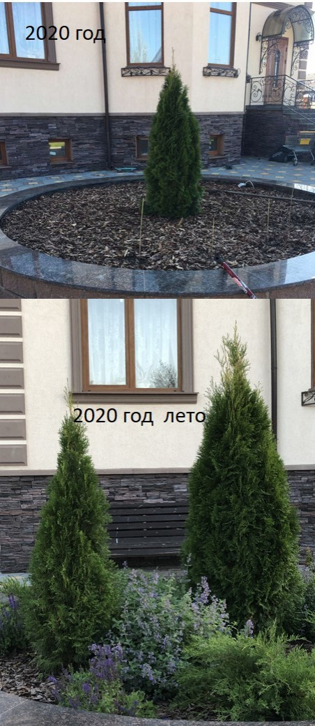 Обложка проекта: Было-стало