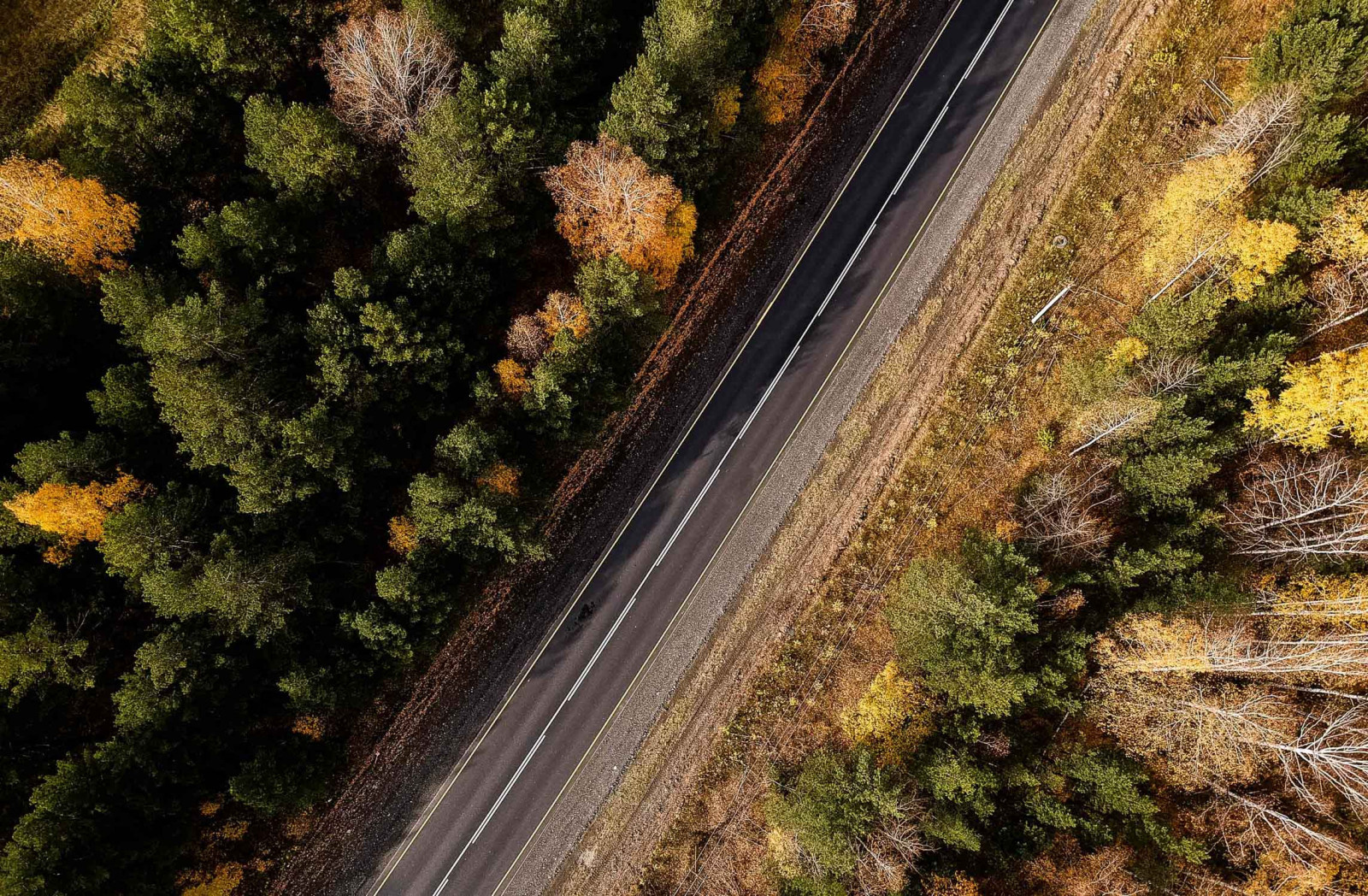 Фотосъемка с дрона