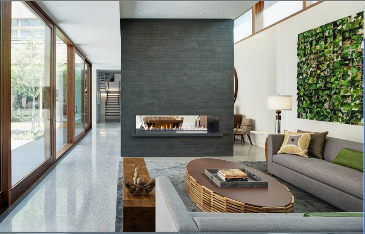 Обложка проекта: Биокамин в доме