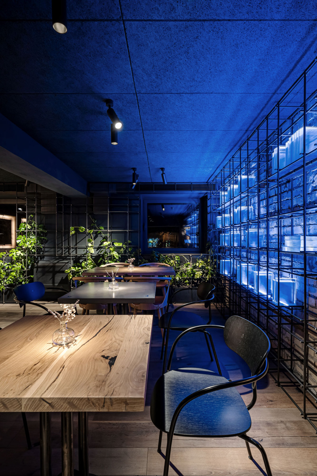 Follower | Restaurant & Bar