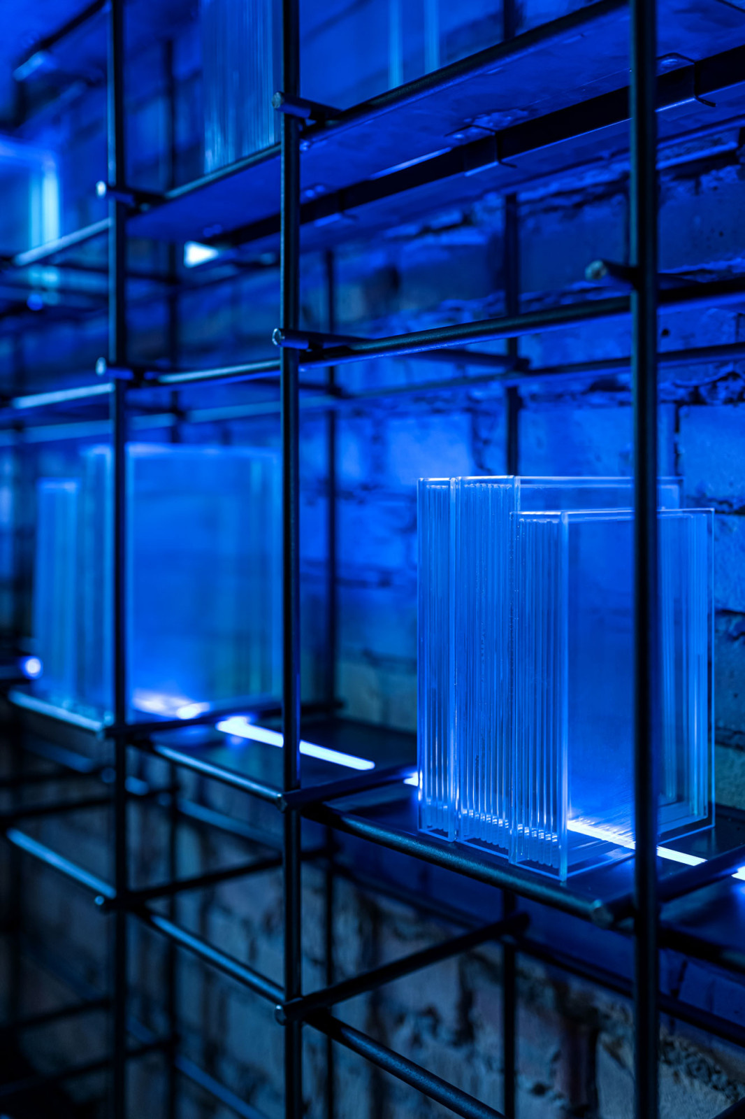 Follower | Restaurant & Bar