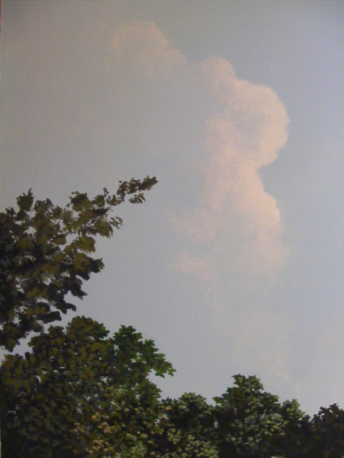 Панно в комнате отдыха загородного дома