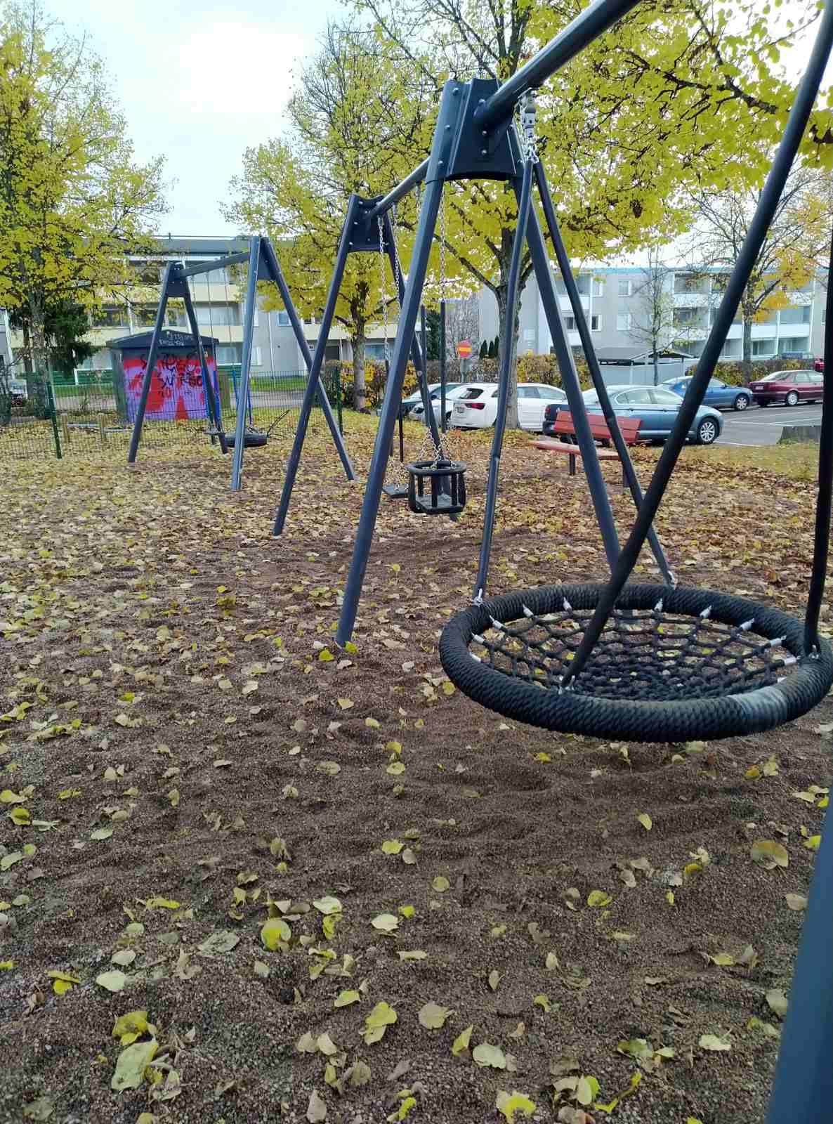 Озеленение придомовых территорий 2020