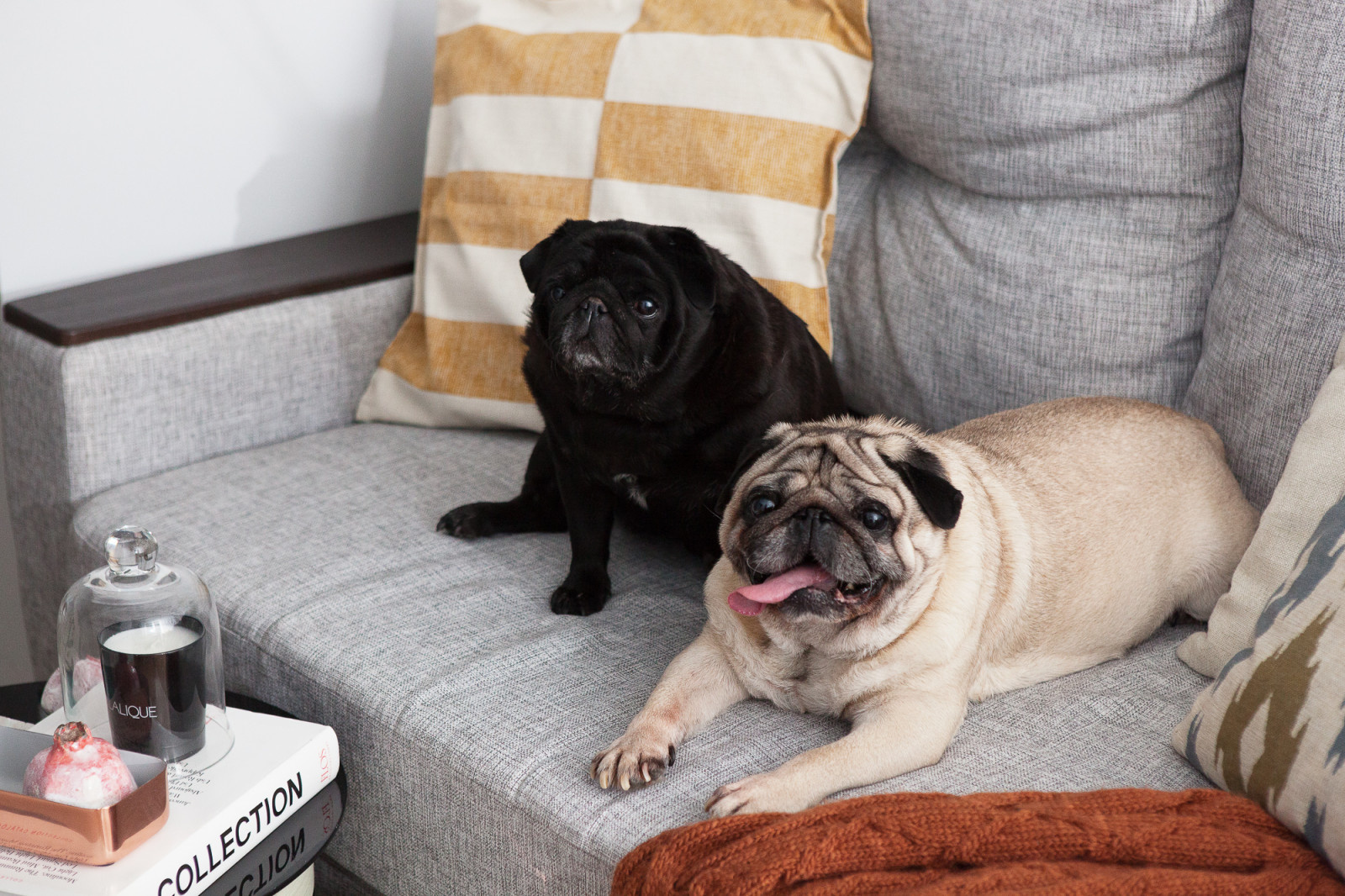 Проект "Хлопковое настроение" для The Village