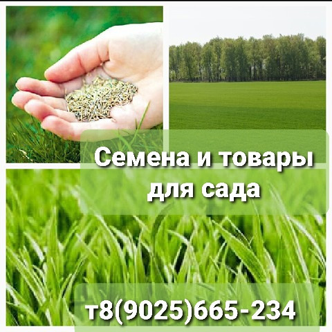 Питомник растений