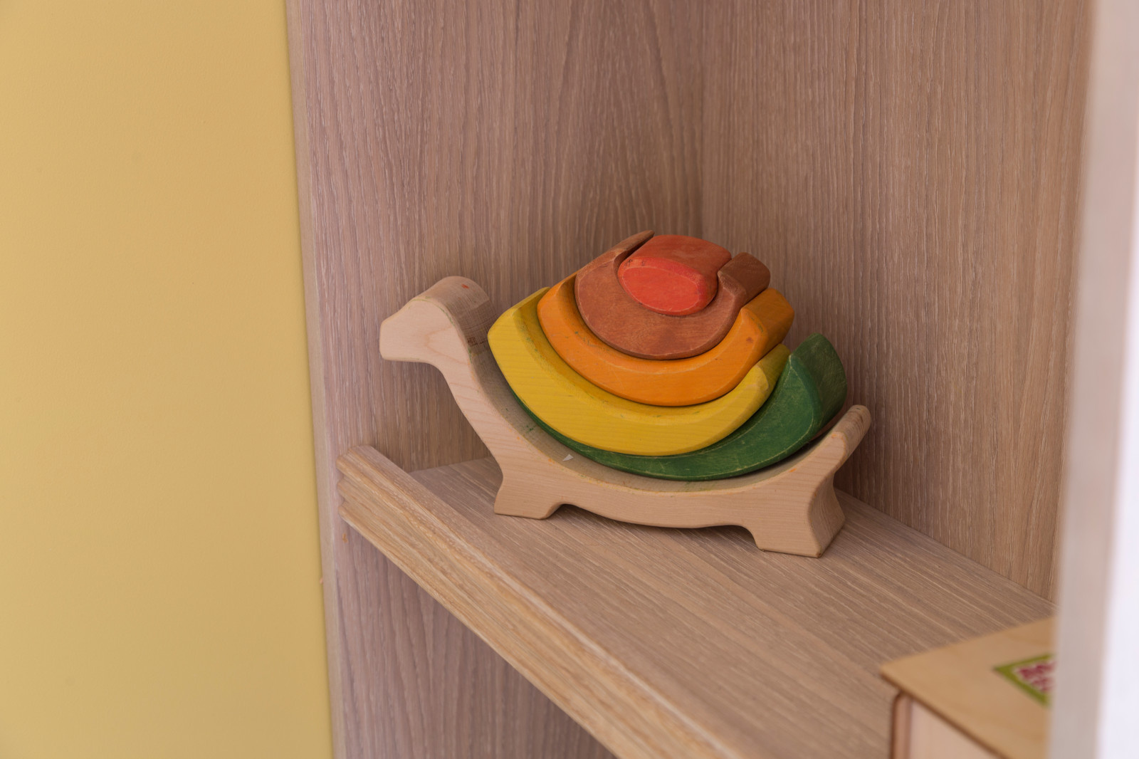 Встроенный шкаф в детскую из массива дуба