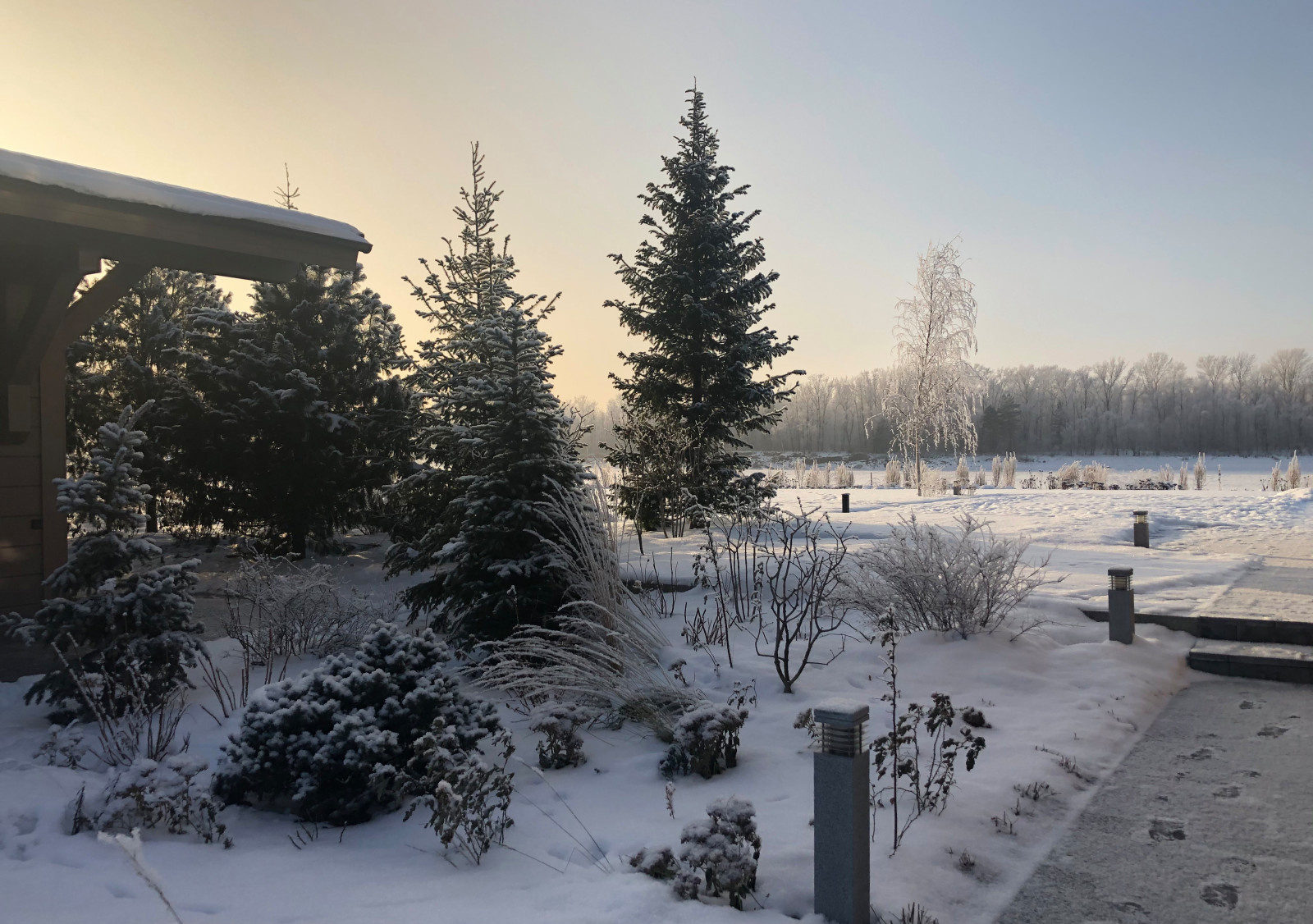 Сад Кроличья нора. Зима